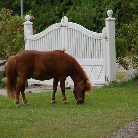 Ostseepferdehof Neukirchen  Dış mekan fotoğraf